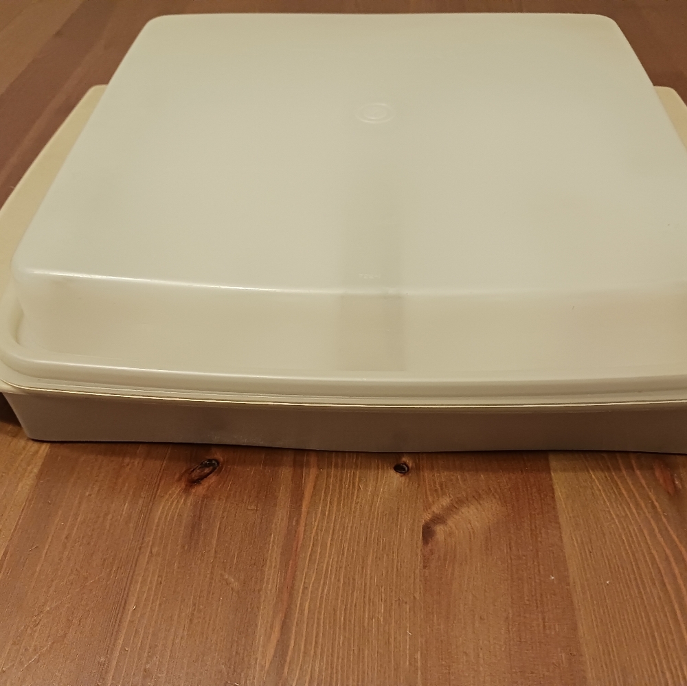 Tupperware Deviled Egg tray